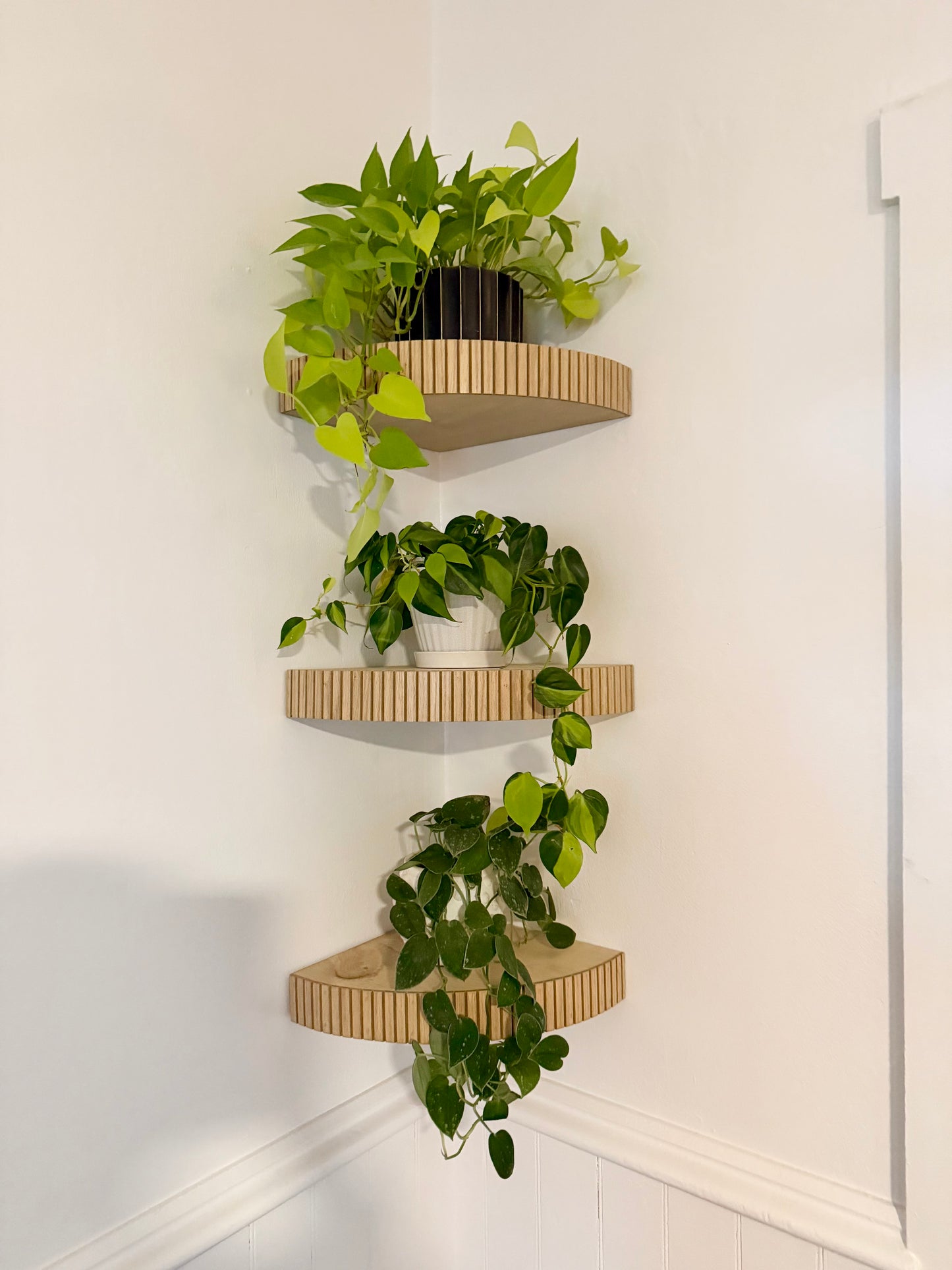 floating fluted corner shelf (large)