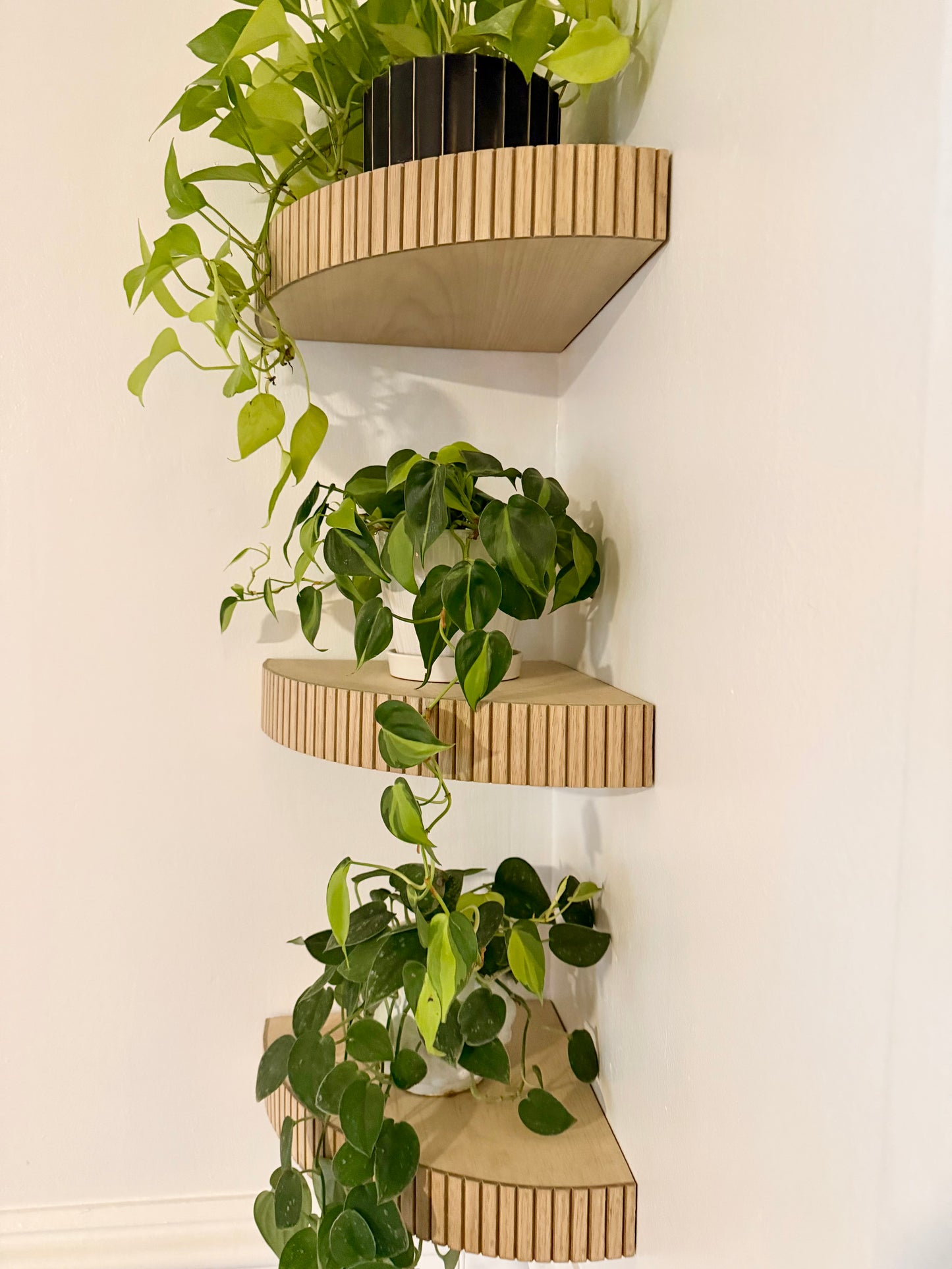 floating fluted corner shelf (large)